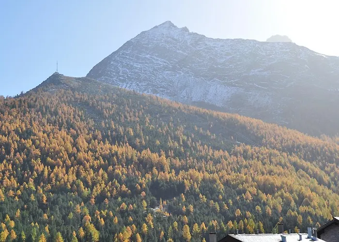 Apartmenthaus Saas-Fee